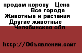 продам корову › Цена ­ 70 000 - Все города Животные и растения » Другие животные   . Челябинская обл.